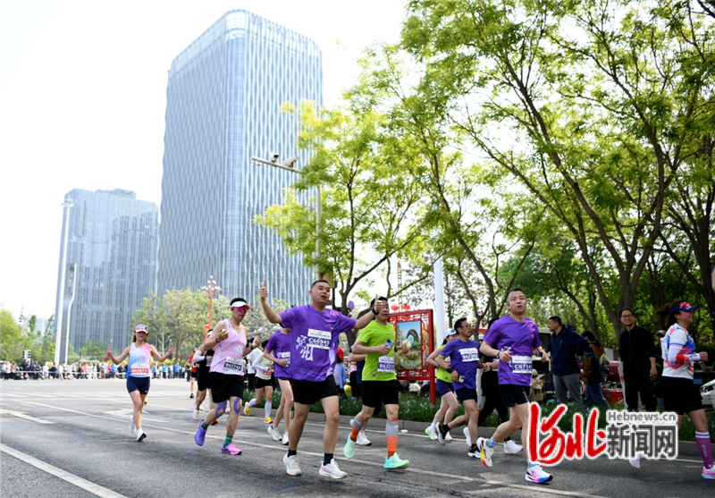 戴格诺特：失利是我的责任 但犯规点球战术不是我们的败因