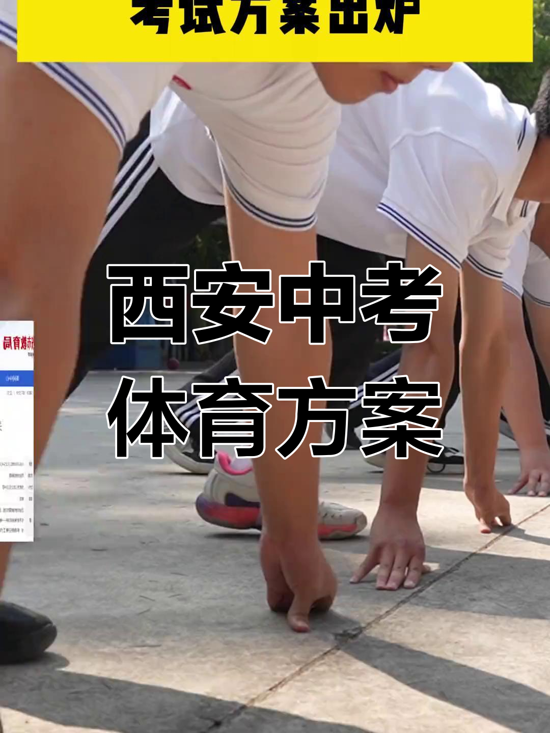 森林狼117