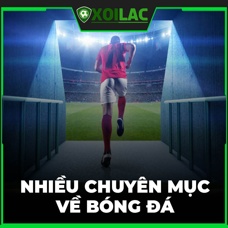 中国选手包揽跳水世界杯9枚金牌